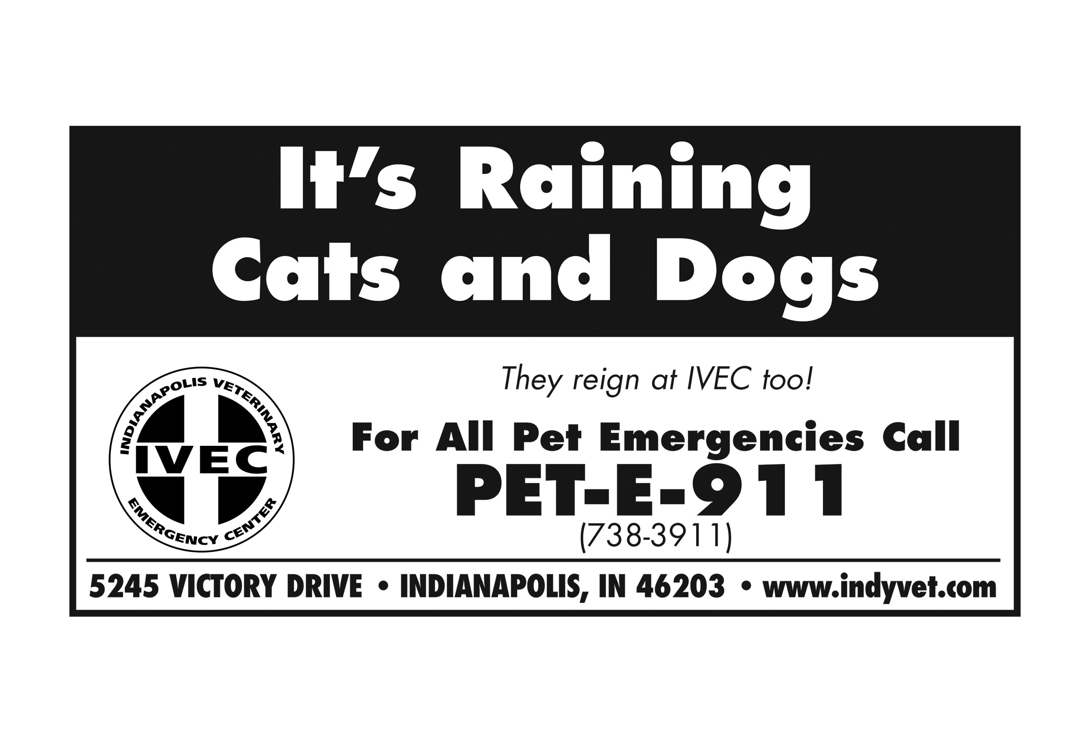 IVEC ad variation A