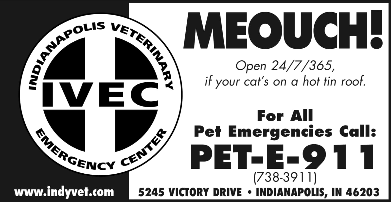 Preview graphic for IVEC print campaign case study